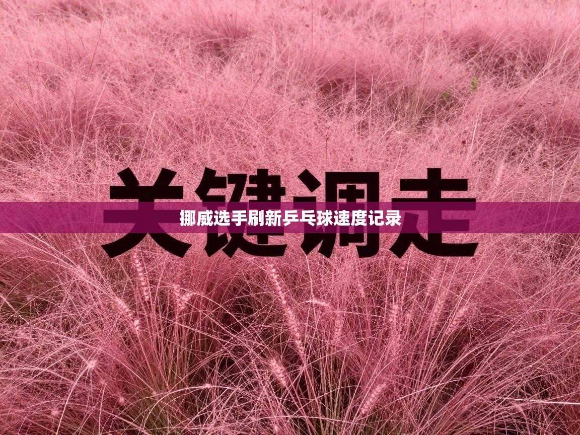 挪威选手刷新乒乓球速度记录 第2张